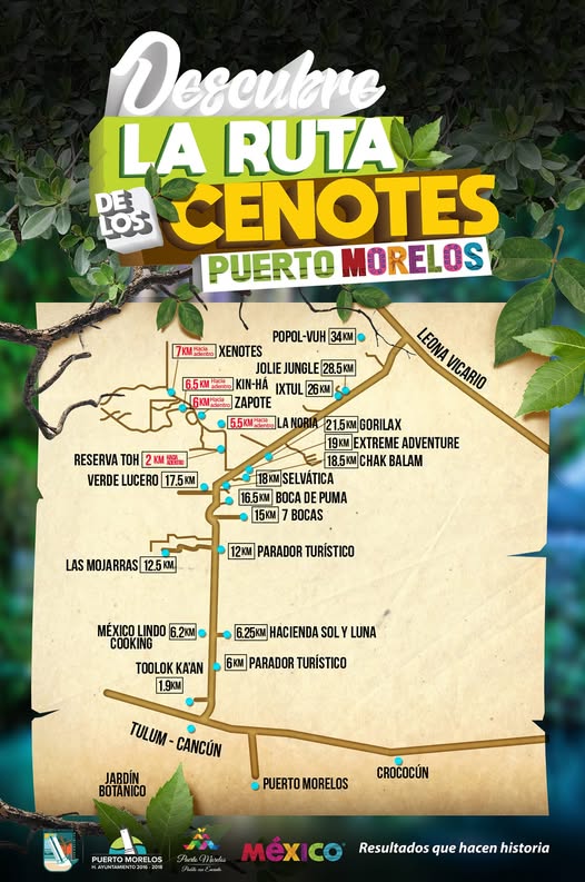 Tour Ruta de los Cenotes en Puerto Morelos: Guía Completa 2026